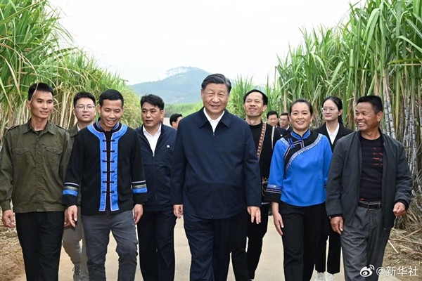 Xi, Laibin kentinde şeker kamışı üretim alanını ziyaret etti