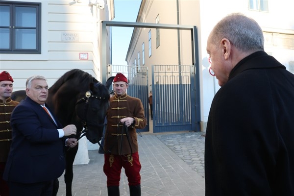 Macaristan Başbakanı Orban, Cumhurbaşkanı Erdoğan'a at hediye etti