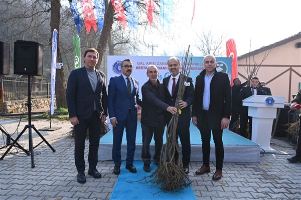 Bursa Büyükşehir Belediyesi'nden kestane üretimine destek
