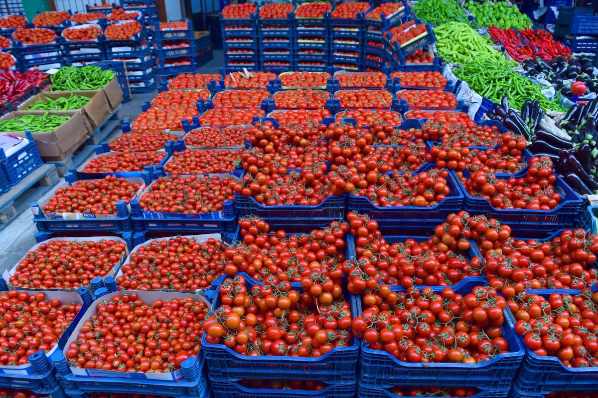 Ankaralılar 2023'te en çok domates ve karpuz tüketti
