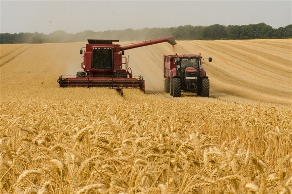 TÜİK-Tarım ürünleri üretici fiyatları 2023'te yıllık yüzde 52,66 arttı