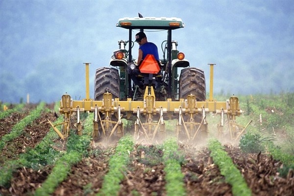 TÜİK-Tarımsal girdi fiyatları Kasım'da yıllık yüzde 38,82 yükseldi