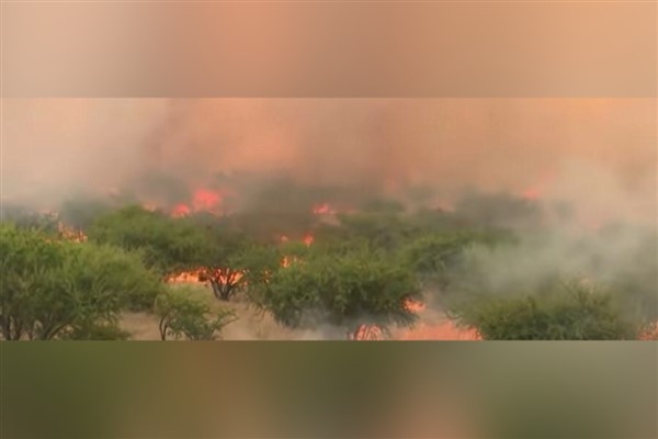 Orman yangınları Şili'yi felç etti: 70'den fazla ölü