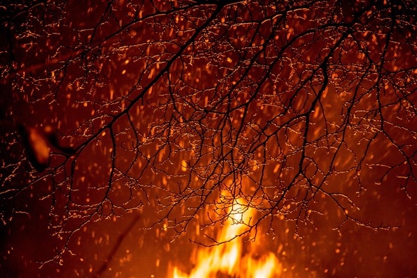 Griffiths: “Şili'deki orman yangınlarından etkilenen herkesi düşünüyorum”
