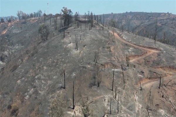Şili'nin merkezindeki orman yangınları söndürüldü