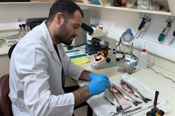 RTEÜ Su Ürünleri Fakültesi, balık hastalıklarının önlenmesine katkıda sağlıyor
