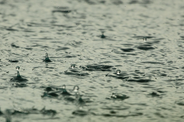 Muğla için kuvvetli yağış uyarısı