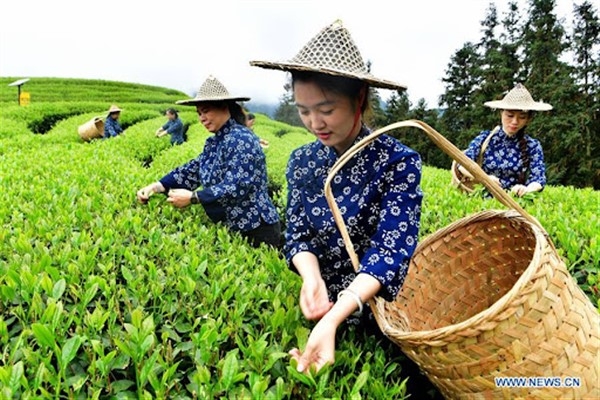 Çin, ilkbahar çiftçiliğini desteklemek için 830 milyon yuan tahsis etti