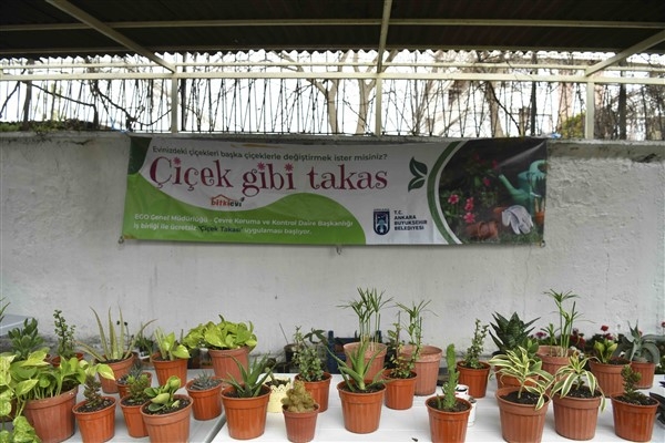 Ankara Büyükşehir Belediyesi ″Çiçeğim Takas″ uygulamasına devam ediyor
