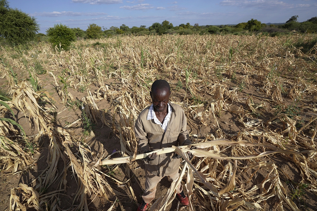 Çin, 20’den fazla Afrika ülkesine acil gıda yardımı sağlayacak
