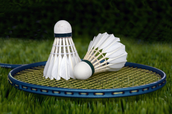 Milli para badmintonculardan Paris 2024 kotası