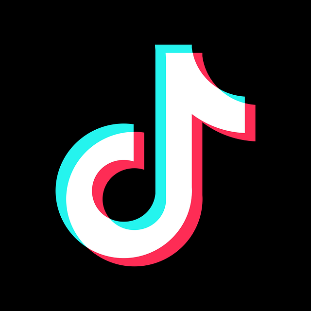 TikTok uygulamayı yasaklayabilecek yeni yasayı durdurmak için ABD hükümetine dava açıyor