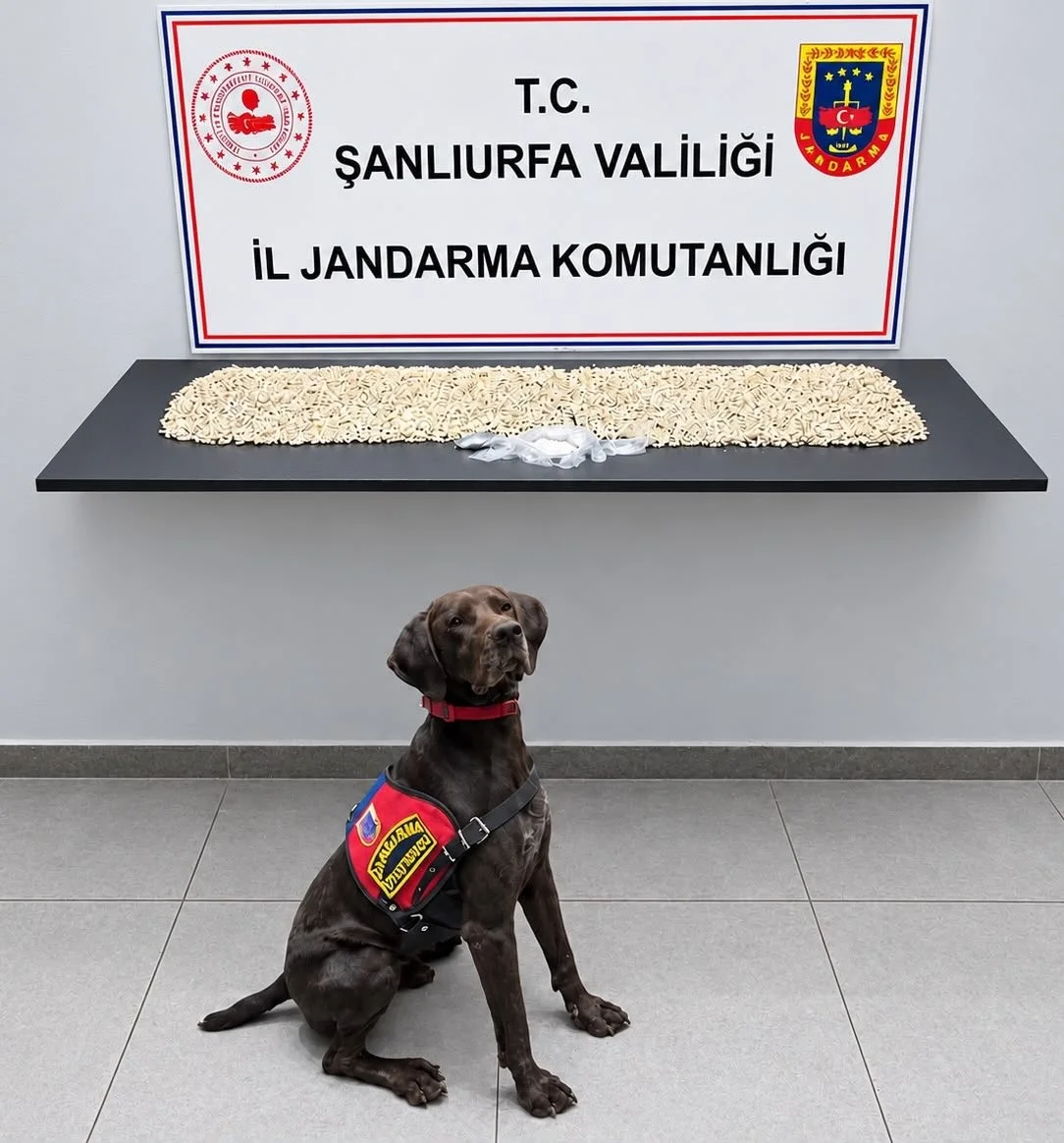 Şanlıurfa, Eyyübiye, uyuşturucu operasyonu, Captagon, metamfetamin, jandarma, narkotik