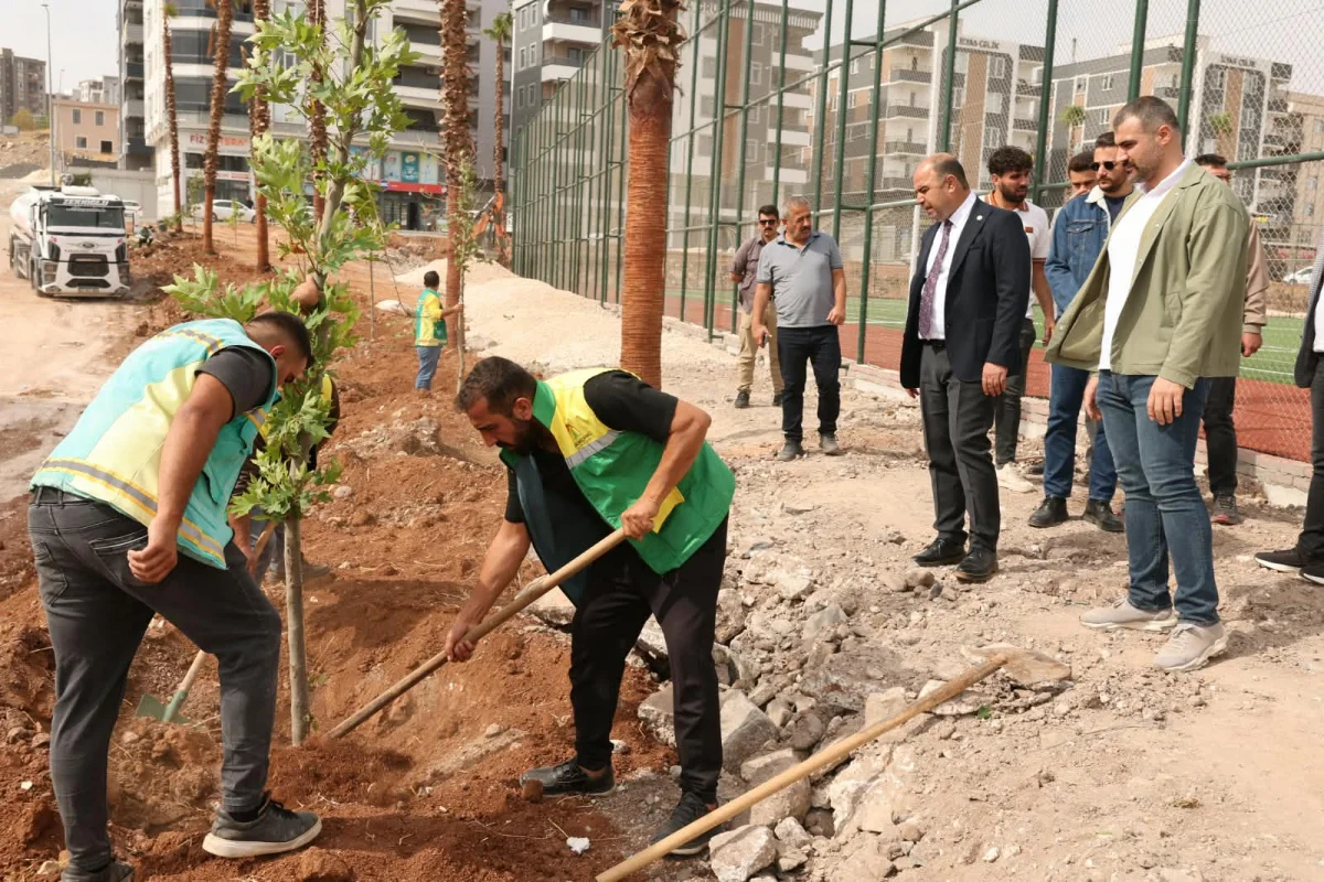 BAŞKAN ÇİFTÇİ: KARAKÖPRÜ’YÜ YEŞİLLENDİRMEK ÖNCELİKLİ HEDEFİMİZ