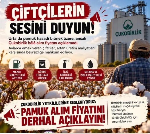 Şanlıurfa’da Pamuk Üreticisinin Fiyat Bekleyişi: Çukobirlik’e Çağrı