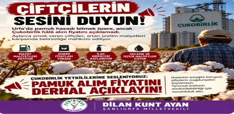 Şanlıurfa’da Pamuk Üreticisinin Fiyat Bekleyişi: Çukobirlik’e Çağrı