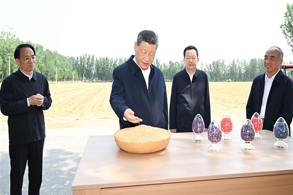 Xi, Shandong’daki köylerde incelemelerde bulundu