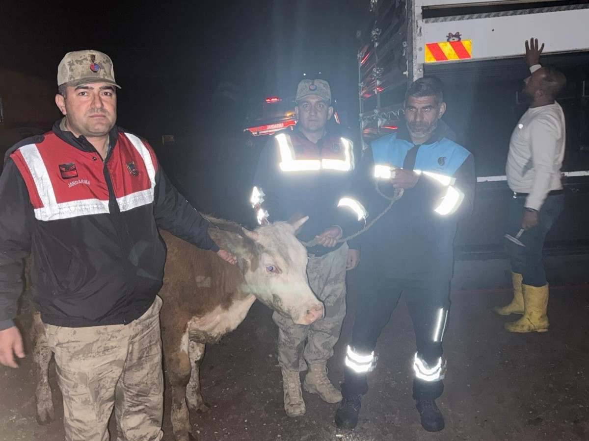 Şanlıurfa’da Huzur-63 Uygulaması: 1023 Personelle Dev Denetim