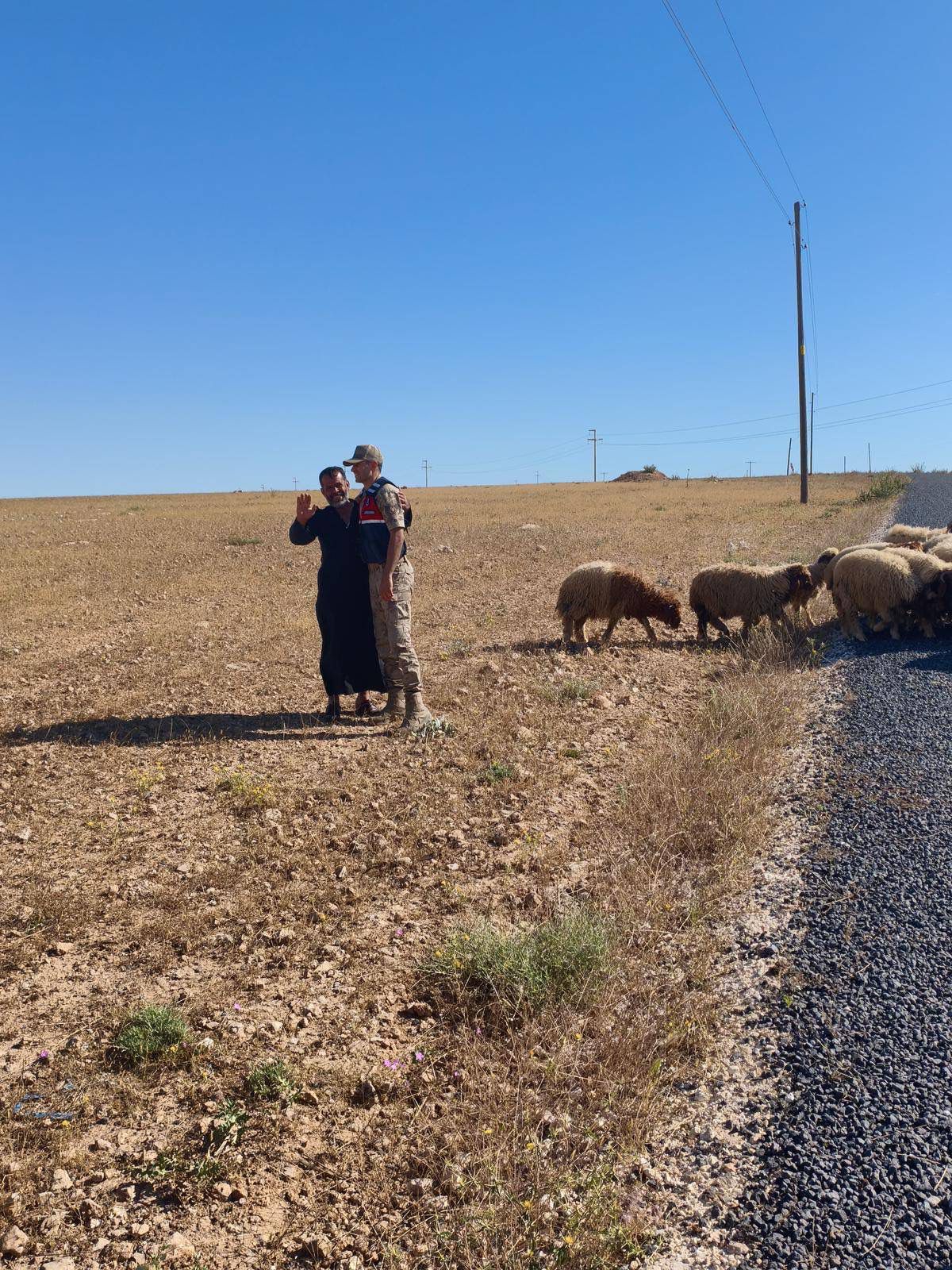 Drone Destekli Arama Sonuç Verdi: Kayıp 17 Küçükbaş Hayvan Bulundu
