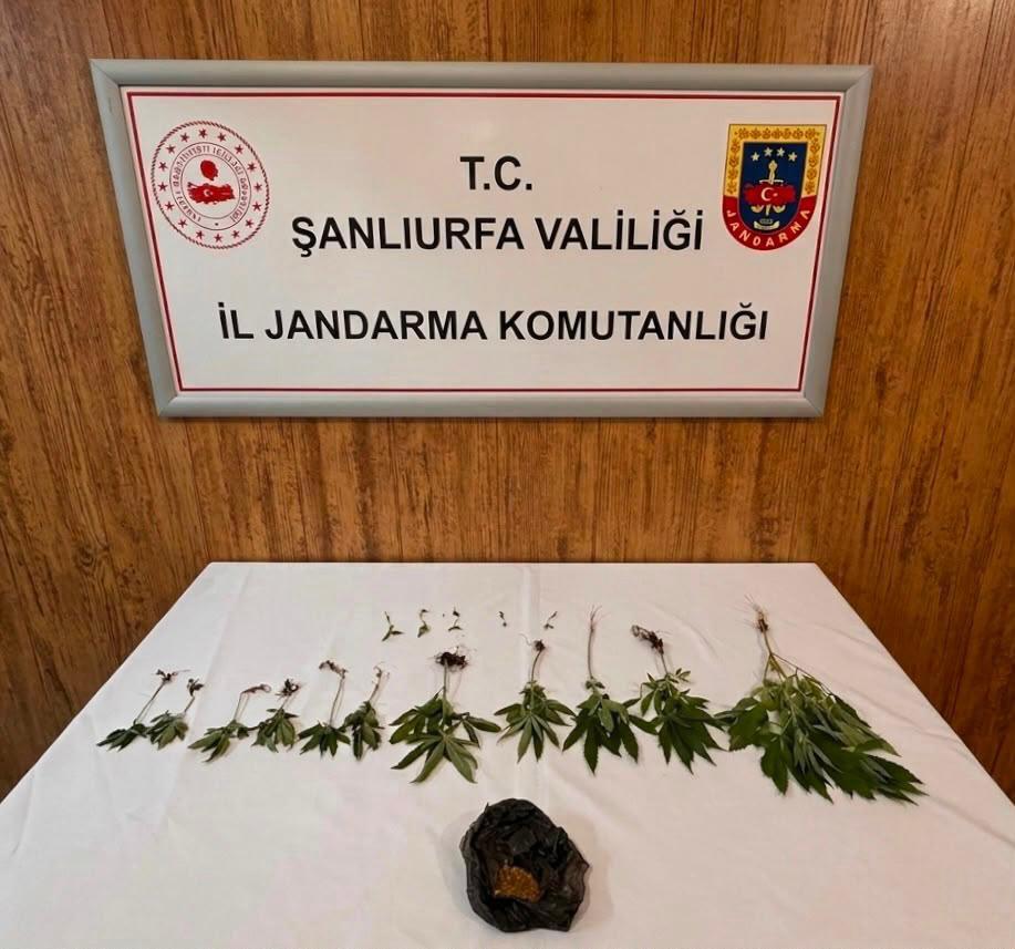 Şanlıurfa'da Narkotik Operasyonu: Kenevir ve Uyuşturucu Madde Ele Geçirildi