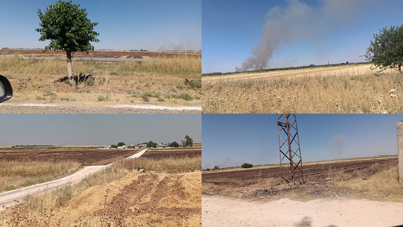 Uyarılar Yetmiyor! Şanlıurfa'da Anız Yangınları Durmuyor
