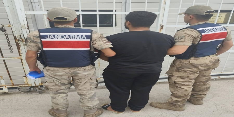 Şanlıurfa'da Hırsızlık Hükümlüsü Jandarma Operasyonuyla Yakalandı