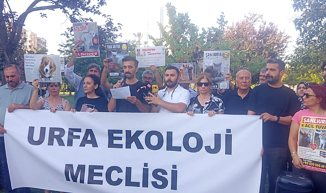 Şanlıurfa'daki Barınaklar Gündemde