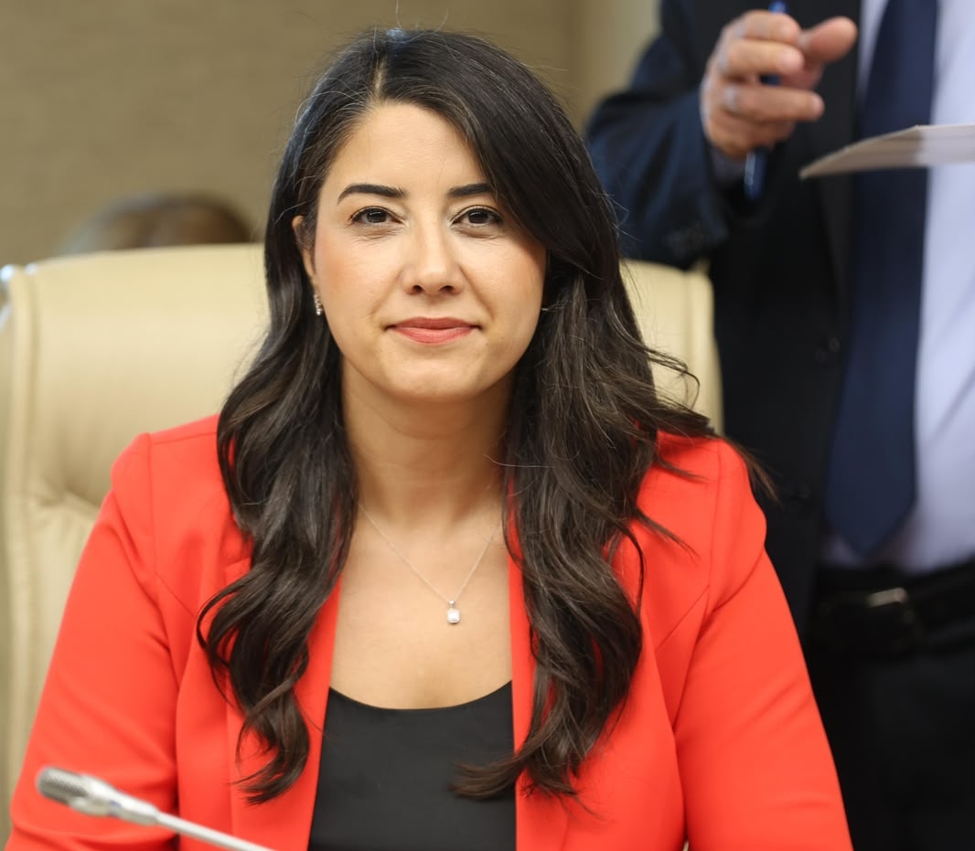 DEM Partili Dilan Kunt Ayan'dan Suruç Katliamı İçin Meclis Araştırması Talebi