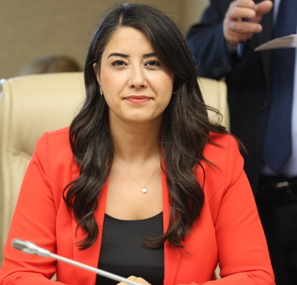 TÜRKİYE BÜYÜK MİLLET MECLİSİ BAŞKANLIĞINA