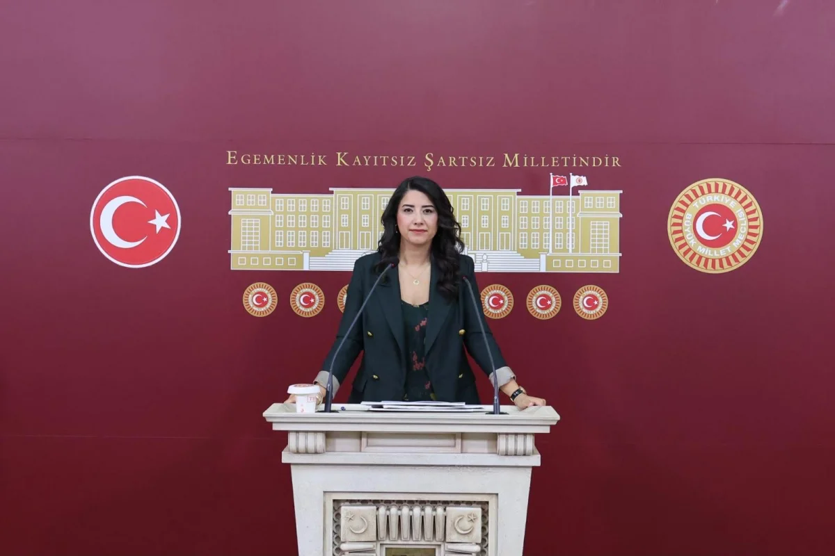 Dilan Kunt Ayan’dan Şanlıurfa Şehir Hastanesi öncesi sağlık sistemi eleştirisi