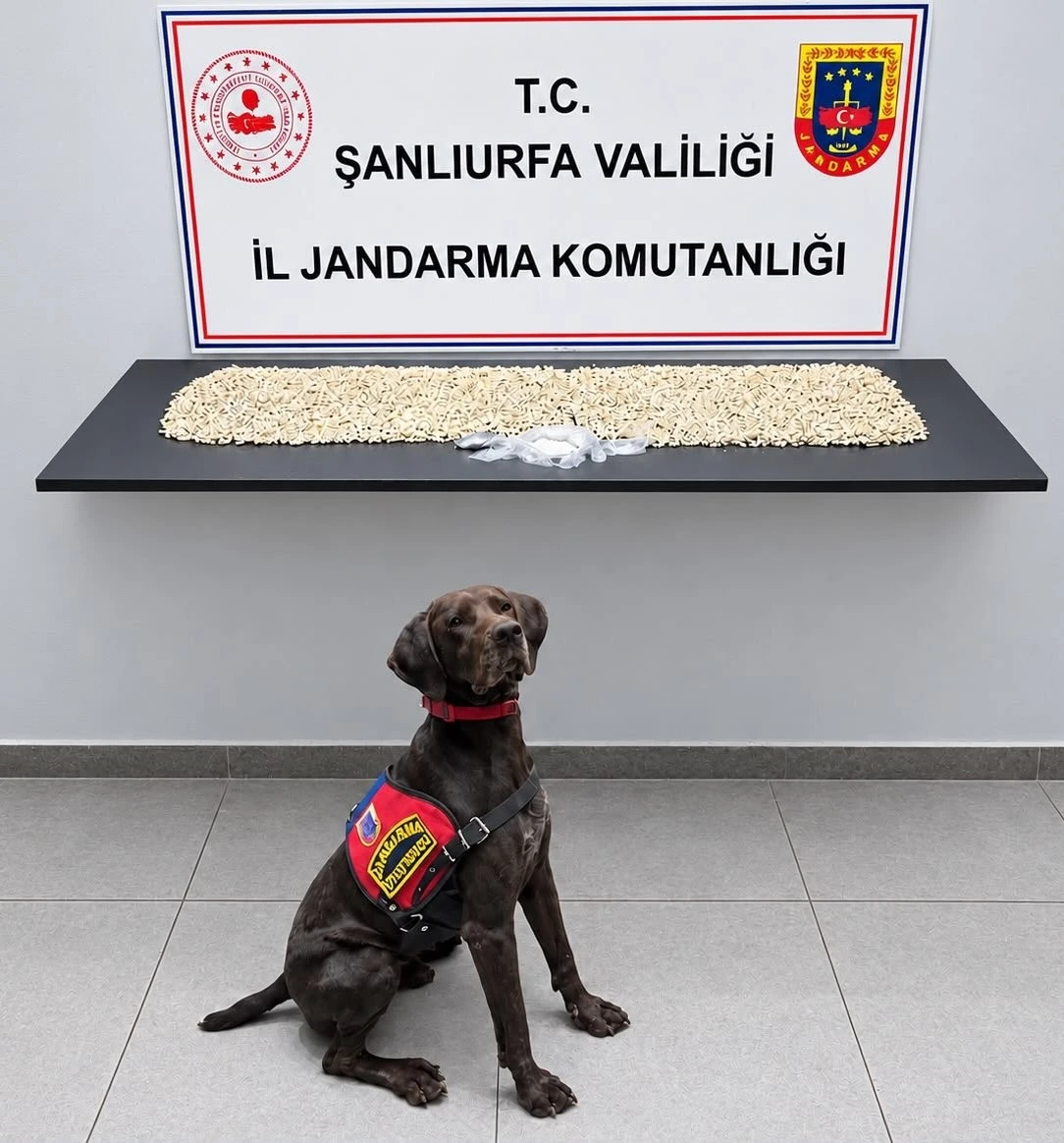Şanlıurfa, Eyyübiye, uyuşturucu operasyonu, Captagon, metamfetamin, jandarma, narkotik