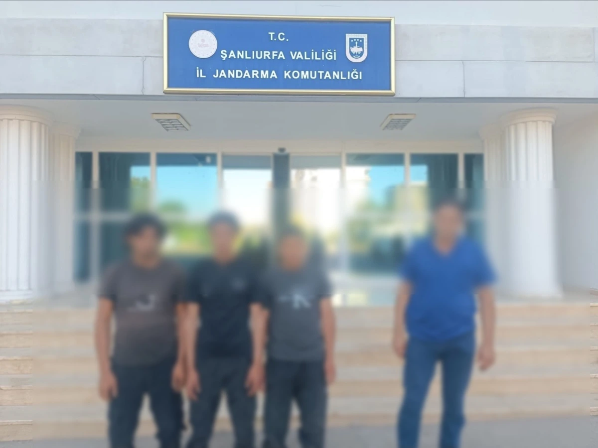 Şanlıurfa'da Göçmen Kaçakçılığı Operasyonu