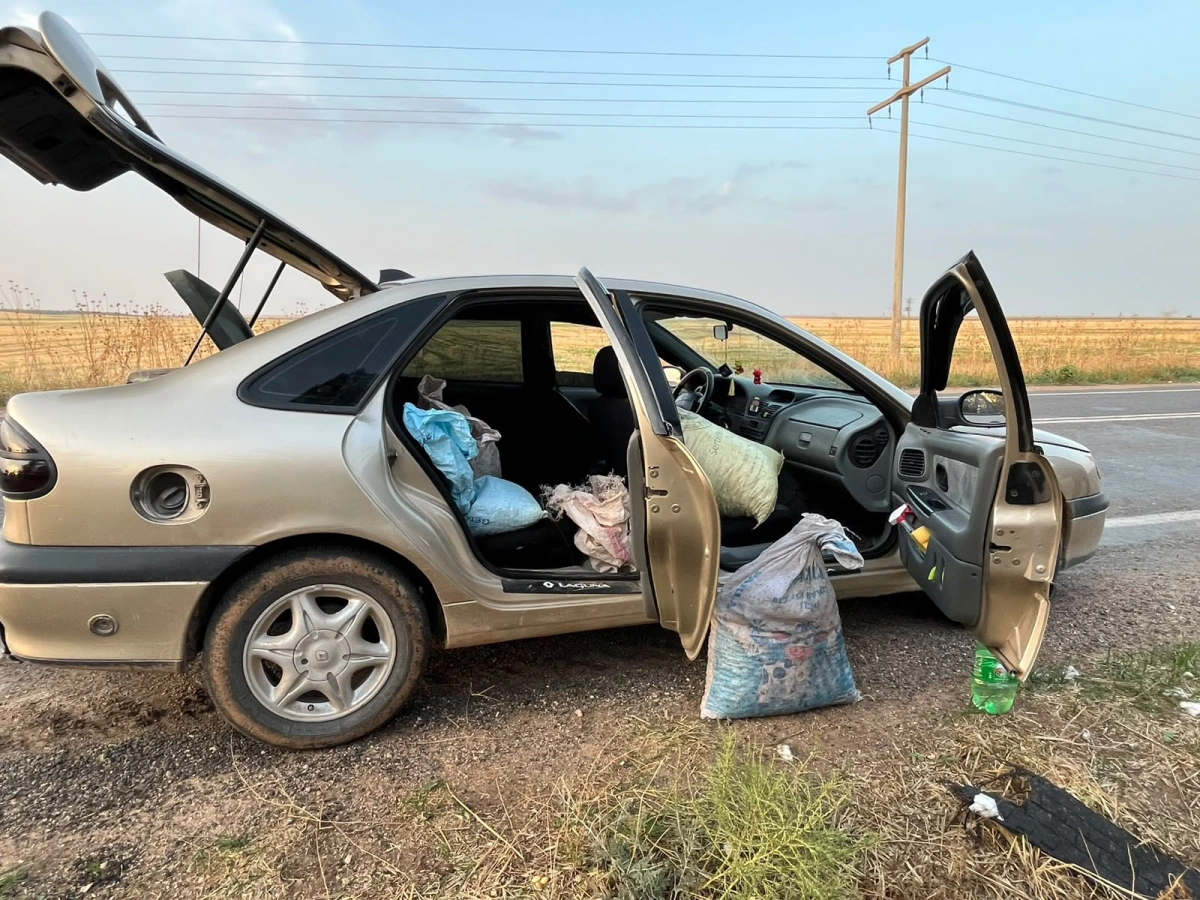 ŞANLIURFA’DA FISTIK HIRSIZLIĞINA SUÇÜSTÜ: 75 KİLO FISTIK ELE GEÇİRİLDİ