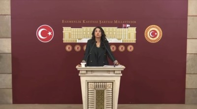 DEM Parti Şanlıurfa Milletvekili Dilan Kunt Ayan’dan Halfeti’deki Altyapı Sorunlarına Tepki