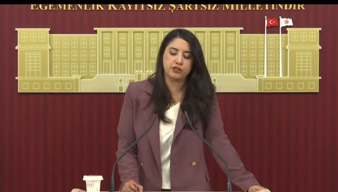 ŞANLIURFA’DA FISTIK ÜRETİCİLERİNDEN İTHALAT TEPKİSİ: “YERLİ ÜRETİCİ NASIL AYAKTA KALACAK?”