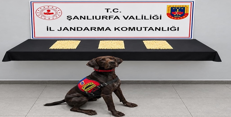 ŞANLIURFA’DA UYUŞTURUCU OPERASYONU: 2 BİN 970 CAPTAGON HAP ELE GEÇİRİLDİ