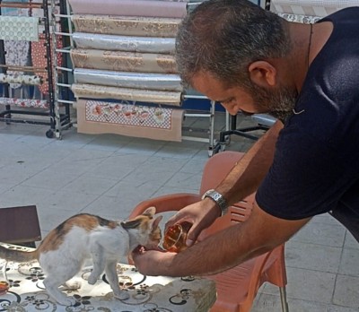 Haber videoları